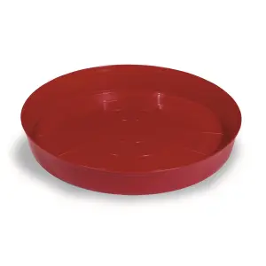 Gaun Chick Tray Feeder Red (H5 x D40cm)