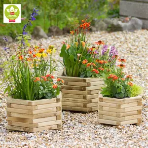 Zest Set of 3 Marford Wooden Hexagonal Garden Planters Flowers