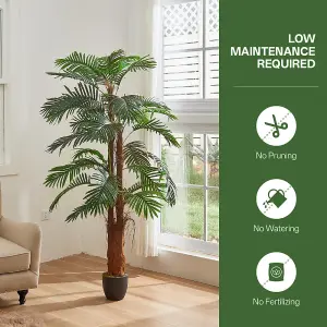 200cm H Artificial Cycas Palm Decorative Plant in Planter for Outdoor Office