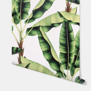 Arthouse Musa Green Tropical Banana Leaf Realistic Feature Wallpaper 909604