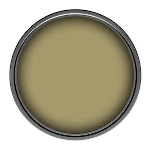 Leyland Trade Vinyl Matt Walls & Ceilings Emulsion Paint Olive Yellow (RAL 1020) 2.5L