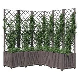 Berkfield Garden Planter with Trellis Brown 120x120x136 cm PP