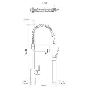 Liquida GR266CH Chrome Kitchen Mixer Tap With Swivel Spout & Directional Spray