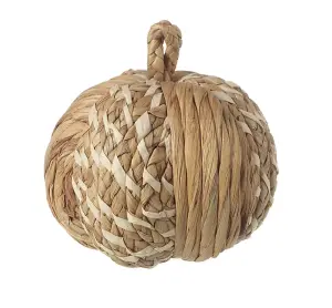 Woven Rattan Halloween Autumn Pumpkin