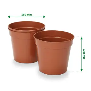 Verve Lei Terracotta Plastic Grow pot (Dia) 15cm, (H)15cm, 1.68L