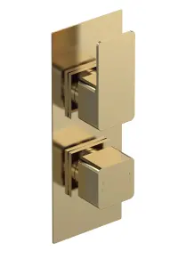 Empire Contemporary Bathroom Concealed Square Twin Thermostatic Shower Valve, 215mm, Brushed Brass - Balterley