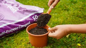 Pro-Grow 1460L Potting & Container Compost Bulk Bag: Peat-free soil for planting pots, tubs, general garden use & landscaping