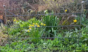 Decorative Metal Fence in a Grey Rustic Metal