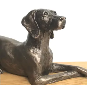 Weimaraner dog figurine in solid cold cast bronze designed by Harriet Glen