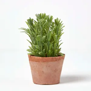 Homescapes Artificial Rosemary Plant in Decorative Pot