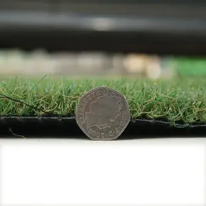 Aurelie 30mm Outdoor Artificial Grass, Pet-Friendly Artificial Grass, Plush Fake Grass-13m(42'7") X 4m(13'1")-52m²