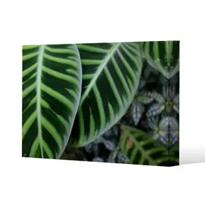 yellow structure in exotic jungle setting (Canvas Print) / 31 x 41 x 4cm