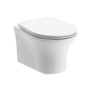 Fewstone White Rimless Wall hung Toilet pan with Soft close seat