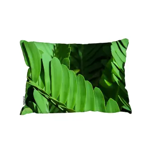 Natural Dark Green Leaves, Long Slender Green Leaves (Outdoor Cushion) / 30cm x 45cm