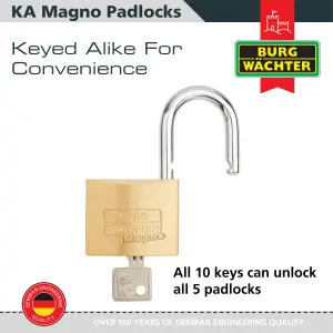 Solid Brass Body Keyed alike 50mm Padlock Standard Shackle (5 in a box)