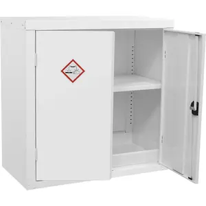 Durable Acid and Alkali Storage Cabinet with 2-Door Lock - 900x460x900mm