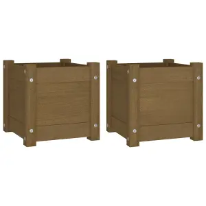 Berkfield Garden Planters 2 pcs Honey Brown 31x31x31 cm Solid Pinewood