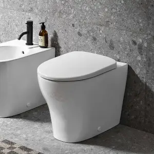 Geberit Selnova Back-to-Wall 4-in-1 Cistern, Flush Plate, Selnova Rimless Pan & Soft Close Seat Pack