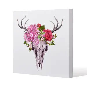 Deer animal skull with flowers and feathers (Canvas Print) / 101 x 101 x 4cm