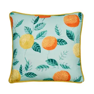 Botanical Fruits Outdoor Water & UV Resistant Filled Cushion