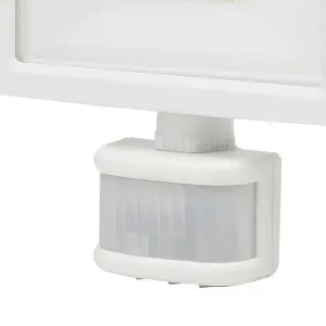 GoodHome Lucan AFD1018-IW White Mains-powered Cool white Outdoor LED PIR Floodlight 2000lm