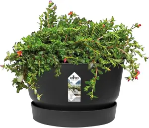 Elho Recycled Plastic Greenville Bowl 33cm Living Black Plant Pot