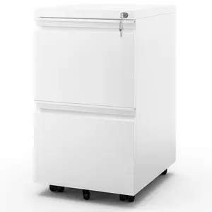 39cm Wide 2 -Drawer Mobile Steel File Cabinet White