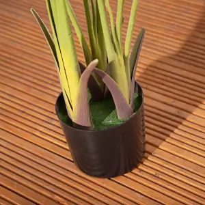 Alfresia Artificial Plant, Wide Leaf, Indoor or Outdoor Use