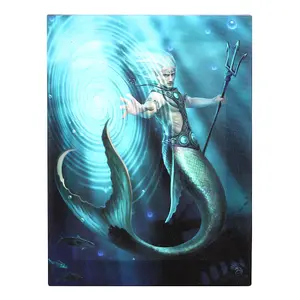 Anne Stokes Water Elemental Wizard Canvas Plaque Light Blue/Navy (25cm x 19cm)