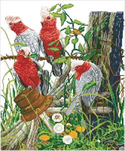 GALAH QUARTET - Diamond Painting Kit: Galah Quartet - Diamond Dotz