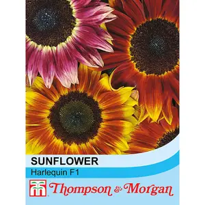 Sunflower Harlequin F1 Hybrid 1 Seed Packet (20 Seeds)