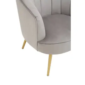 Interiors by Premier Versatile Yolanda Grey Velvet Chair, Exquisite & Cozy Desk Chair Velvet, Easy to Clean Velvet Accent Chair