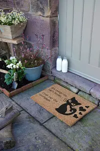 It's really the Cats House, I just pay the Mortgage Doormat