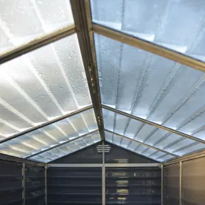 Palram - Canopia Skylight 6x4 ft Apex Dark grey Plastic Shed with floor