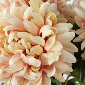 75cm Extra Large Reflex Chrysanthemum - Pink