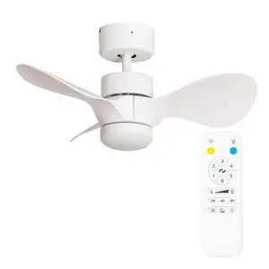 Cayleeann 24cm Ceiling Fan with LED Lights White