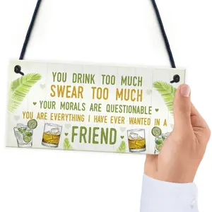 Red Ocean Funny Best Friend Friendship Sign Drink Too Much Gin Vodka Birthday Gift