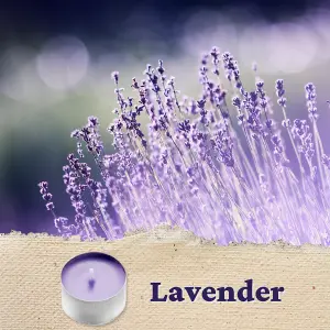 10pck Lavender Scented Tealights