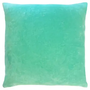 furn. Tanda Velvet Feather Filled Cushion