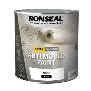 Ronseal Problem wall White Matt Anti-mould paint, 2.5L