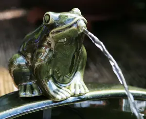 Primrose Green Frog Solar Ceramic Dish Outdoor Indoor Use Water Feature 35cm