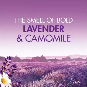 Bold 2 In 1 Laundry Detergent Gel Lavender & Camomile, 35 Washes