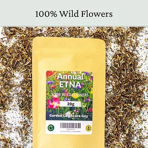 Annual ETNA Wild Flower Seeds 20g (10m²)