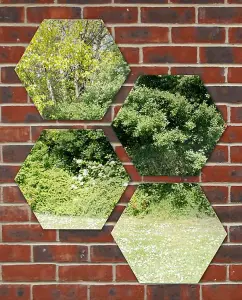 Primrose Acrylic Non Shatter Outdoor Wall Mounted Hexagonal Silver Garden Illusion Mirror 40cm