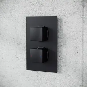 Nes Home Matte Black Voilet 2 Dial Thermostatic Mixer Outlet Square Shower Rail & Handset