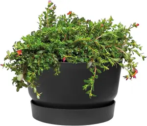 Elho Recycled Plastic Greenville Bowl 33cm Living Black Plant Pot