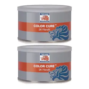 Tetrosyl Color Cure 2K Fibrofil Paintwork Glass Fibre Car Body Dent Filler 2L x2