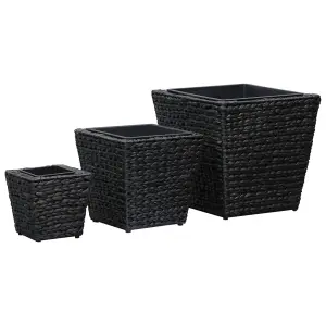 Berkfield Garden Raised Beds 3 pcs Water Hyacinth Black