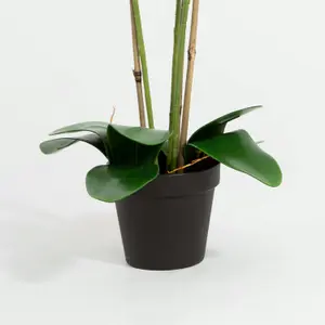 Blooming Artificial - 70cm / 2.25ft White Artificial Phalaenopsis Orchid