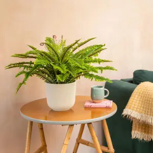 Blooming Artificial - 50cm Faux Boston Fern - Fake House Plant Green Indoor